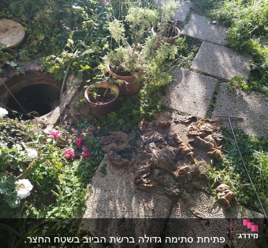 סתימה גדולה ברשת הביוב